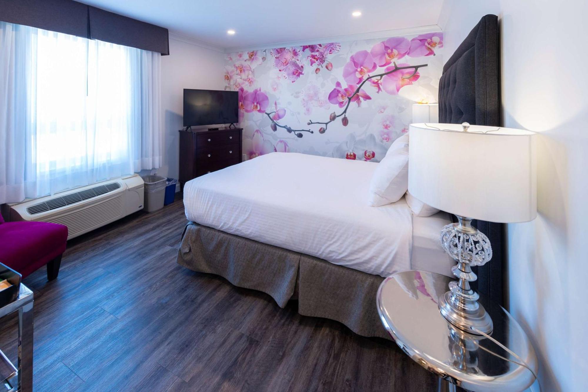 Queen Room with Walk In Shower,1619174112:JPEG